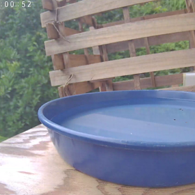 すぎぴたんの事件簿シーズン3　311話（ヤマガラ家族）の画像