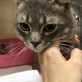 今日からお泊まり♡レオくんの画像