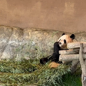 和歌山・南紀白浜の旅⑤の画像