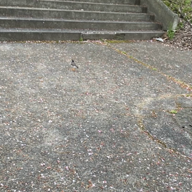 なんでもない日常の画像