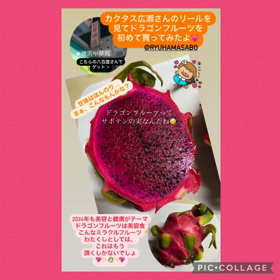 美容食　ドラゴンフルーツの画像