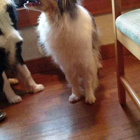 The  盗撮の画像