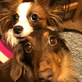 2016→2017の画像