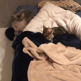 少しづつの画像