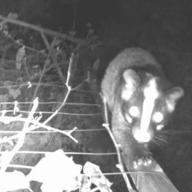 すぎぴたんの事件簿シーズン２　６話の画像