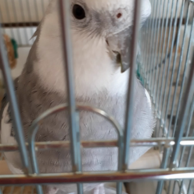 出して欲しいなぁ♪の画像