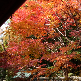 この「時」もここに残しておきたいから。の画像