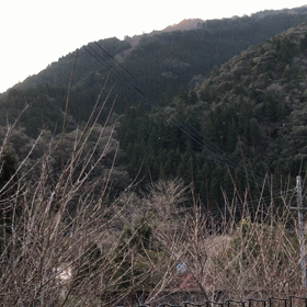 チラチラの画像