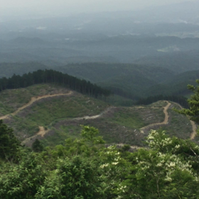 青山高原の画像