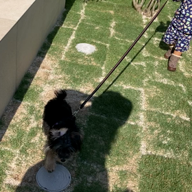 噛みまくりの画像