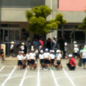 杏運動会動画かけっこの画像