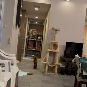 洸太朗の危機管理能力の画像