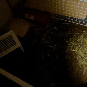 暗いけど…の画像