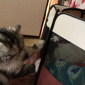 起きてくださいの画像