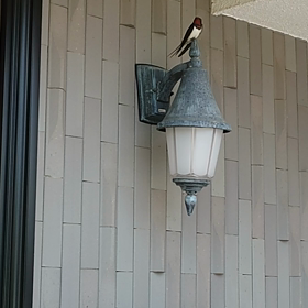 何か言っとるの画像