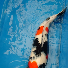 朝から疲れるわの画像