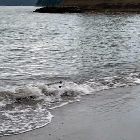 みんながやってるから⁉︎の画像