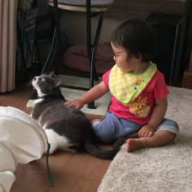 えんじぇるとジジの画像