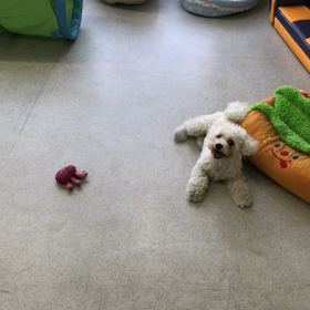 ♪プレイルーム動画♪①の画像