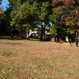 ジャベリック記録会⑯の画像