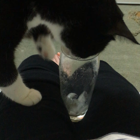 小西グラスで遊びたいの巻の画像