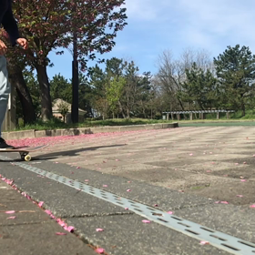 今朝のオイラの横乗りスケート SINYA師匠スクールその2の画像