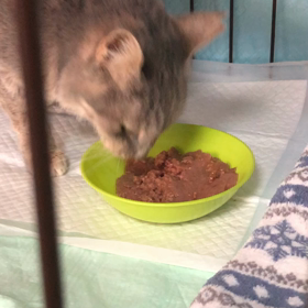 食べてます^_^の画像