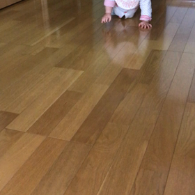 11ヶ月目の画像