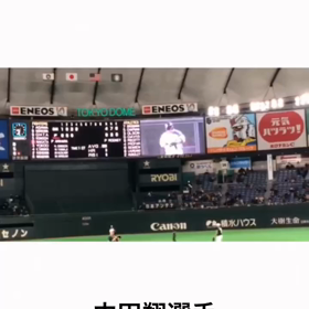 東京ドームにて YASSの画像