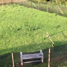 おたよりの画像