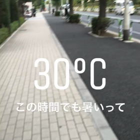 お久しぶり。の画像