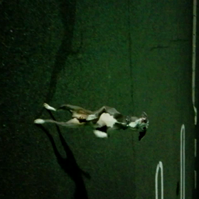 少し成長した？の画像