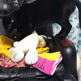 クロのマッサージ店の画像