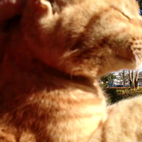 サンちゃんと 続きの画像