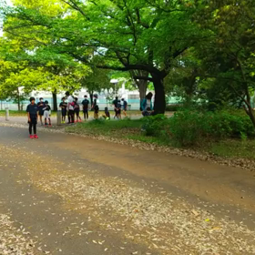 リレー選考会(男子)スタート付近①の画像