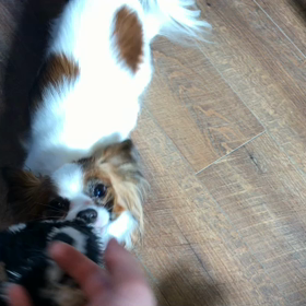 唸りすぎの画像