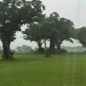 ゴルフも中止の画像