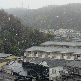 初雪♡淡くも消えた・・の画像