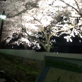 ミルクパイ♡みるくの画像