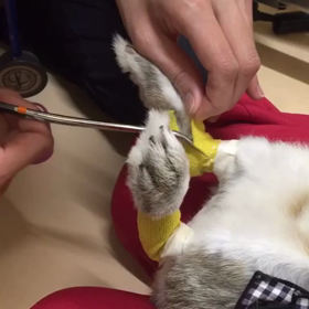 ま、ま、まさかの…の画像