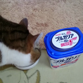 CMの画像