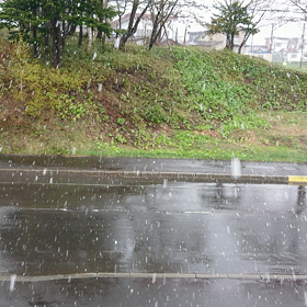 これだもん！の画像