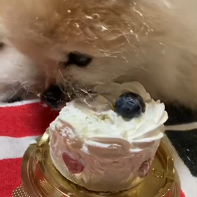 ２０歳になりました（再投稿）の画像