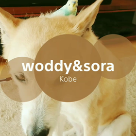 インスタグラム  動画よりの画像