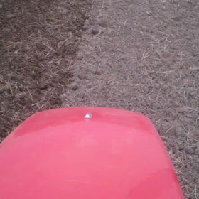 動画(トラクター  常磐神社でのライヴ  梅まつり)の画像