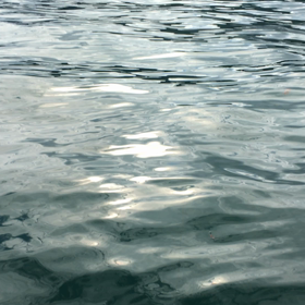 釣り動画1の画像