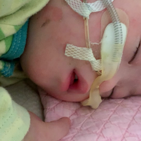 今日のつばちゃんの画像