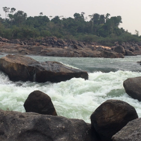 どこさ行っただの画像