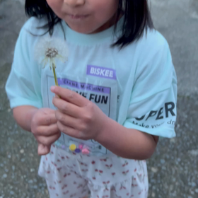 タンポポ見つけたよ♡の画像