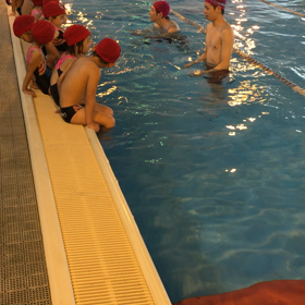 プール ３回目の画像